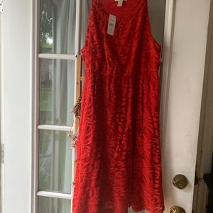 Beautiful Red Lace Dress by Ann Taylor Loft